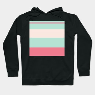 A gentle variation of Pale Chestnut, Powder Blue, Misty Rose and Carnation stripes. Hoodie